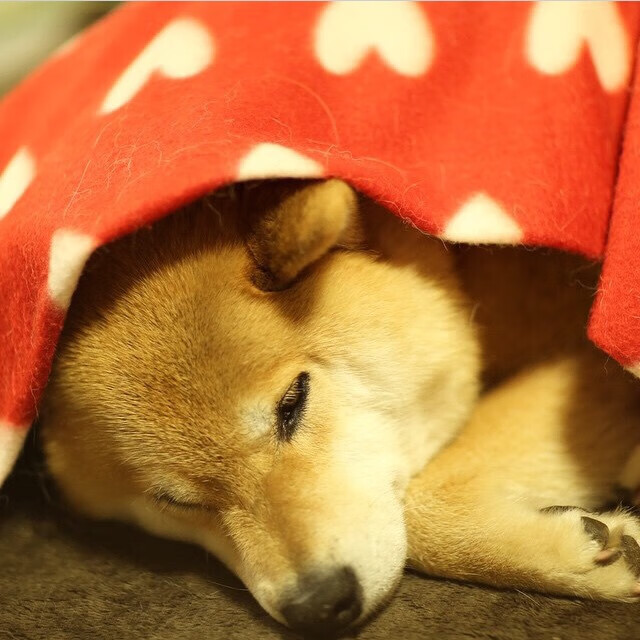 “绝杀三分：联盟史上最经典的终极投篮”，nba绝杀三分