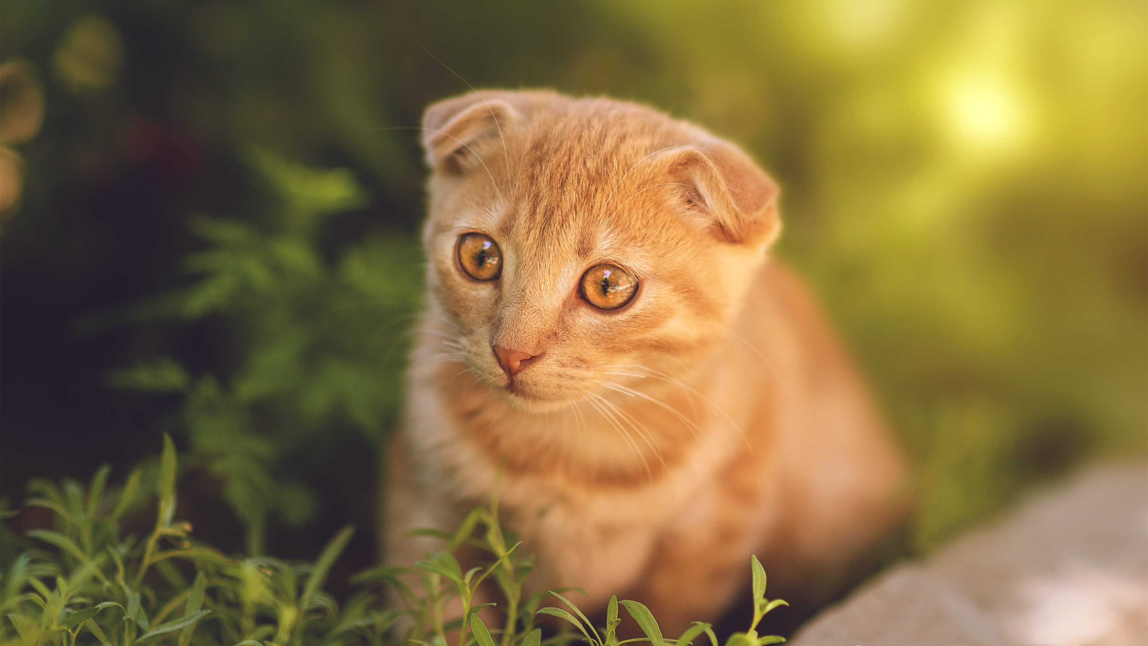 IG战队推进电竞运动员职业素养培养,ig电子竞技俱乐部招聘工作人员吗