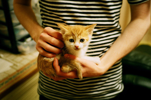 多特突然离队,俱乐部踢球选手书写新篇,多特卖球员