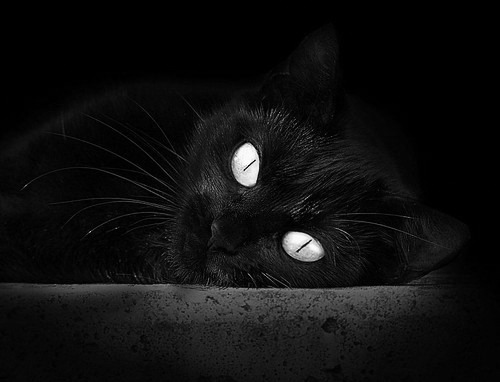 尤文图斯攻防转换流畅 战术思路明晰,尤文图斯战术风格