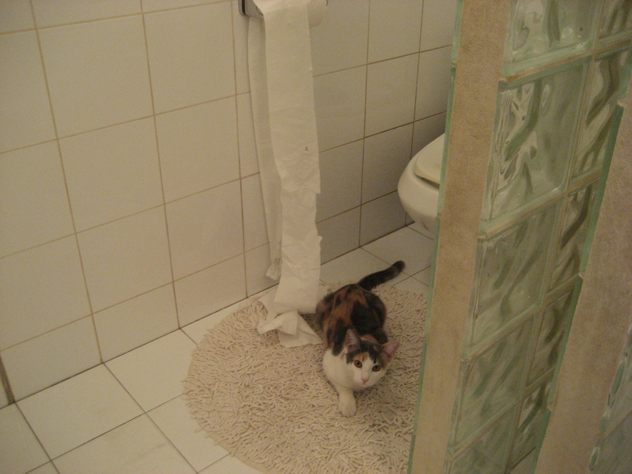 乐鱼体育平台app下载-新赛季开局丰收，马赛豪取三连胜，马赛阵容2020