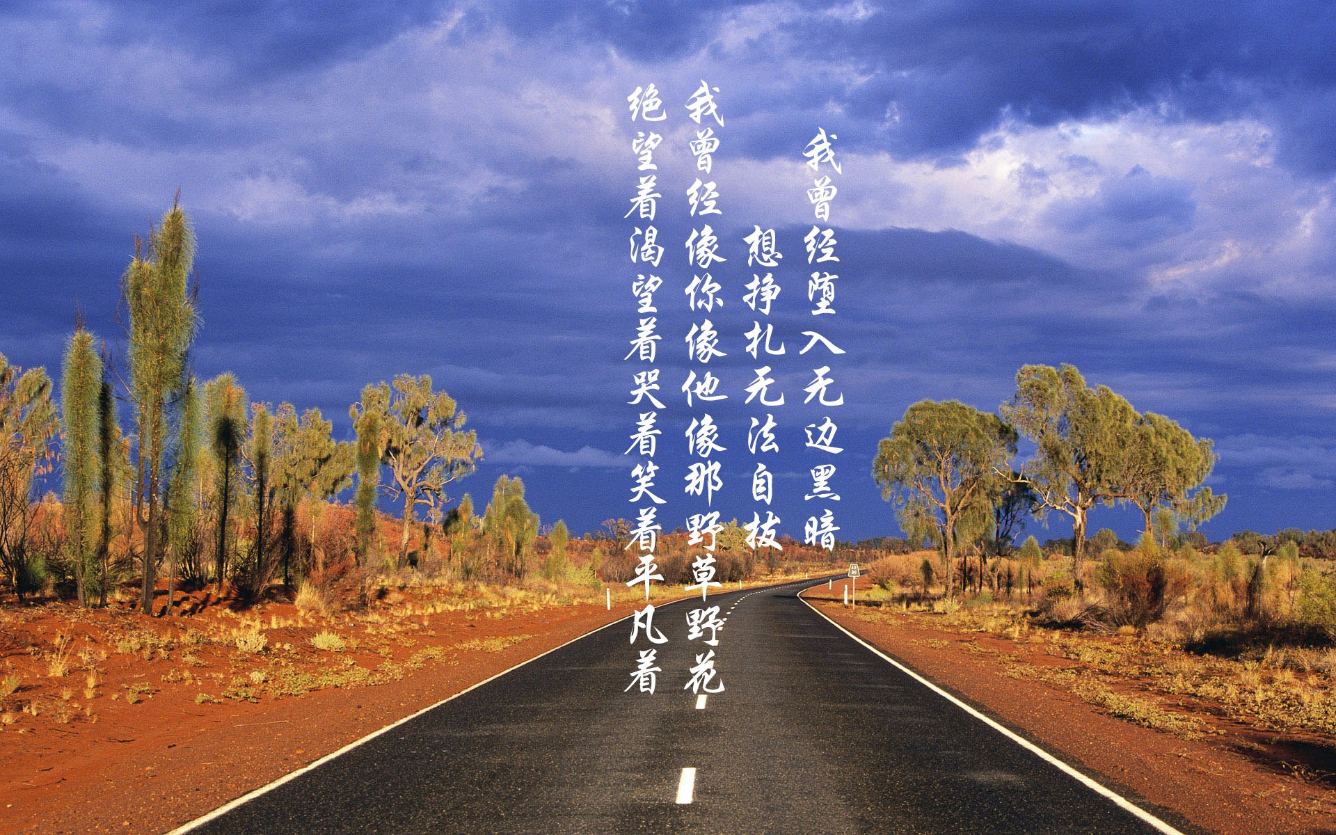 森林狼球队战术执行更有效,森林狼球队阵容