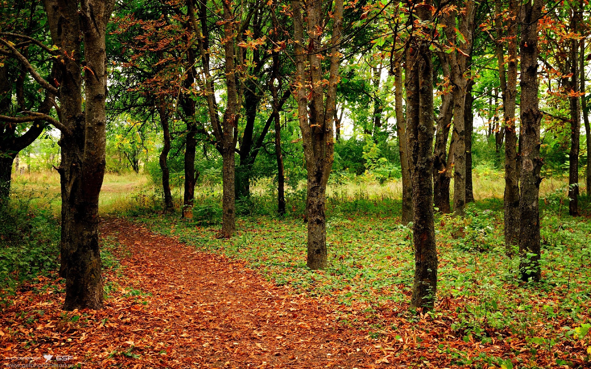 河南建业面对不败劲旅,艰难取得胜利,河南建业官宣