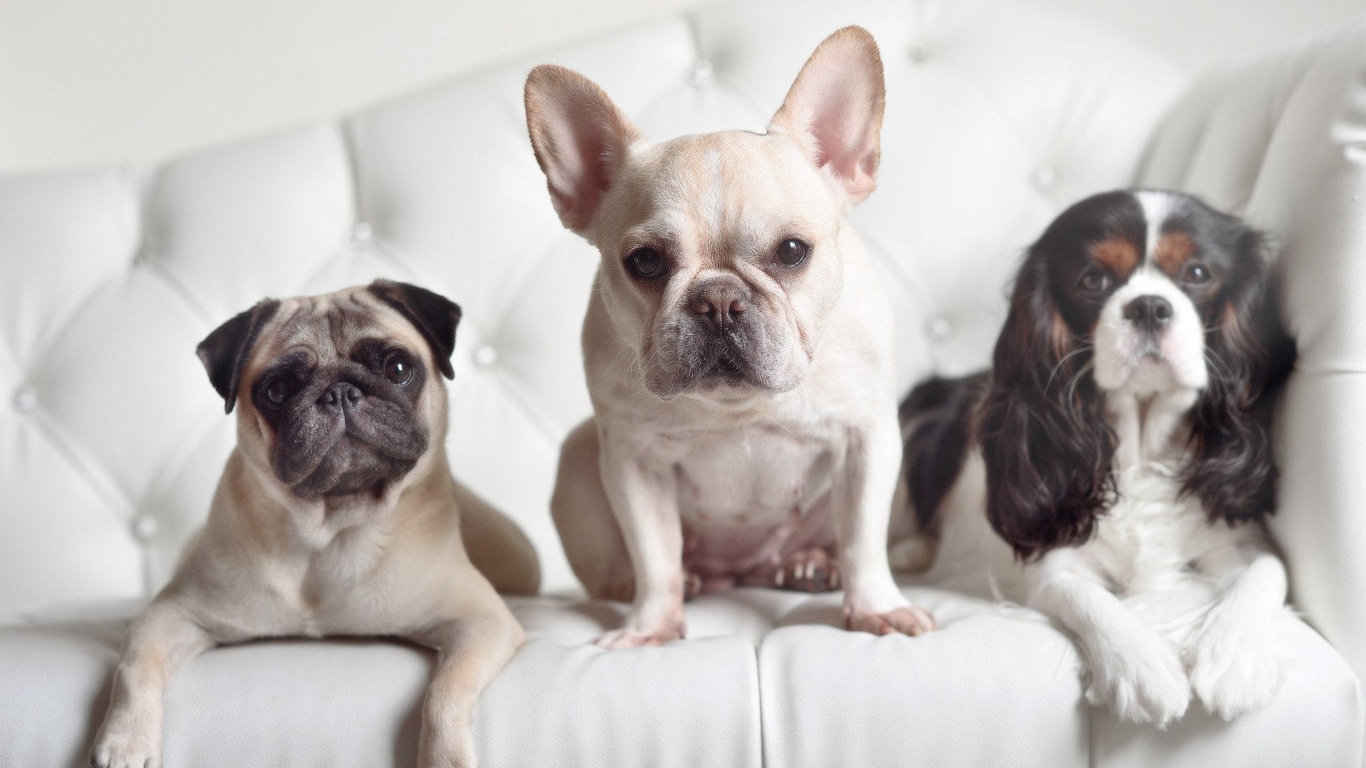 美洲球队发起慈善活动,传递正能量,2021赞助美洲杯