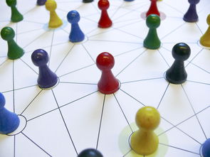 乐鱼app-中国篮球教练员战术执行力提升路径分析，中国篮球教练员等级划分标准