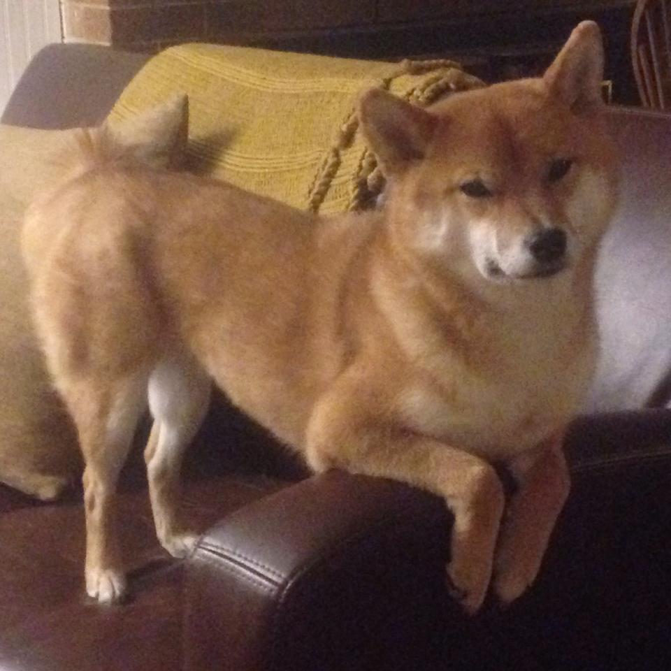 体育旅游:足球赛季带动旅游热潮分析,足球景区