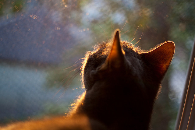 农村地区体育设施使用率评估与提升策略,农村地区体育设施使用率评估与提升策略研究
