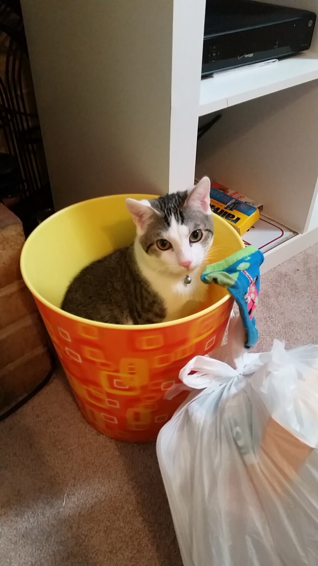 青训制度:欧洲与南美的异同与启示,欧洲青训俱乐部排名