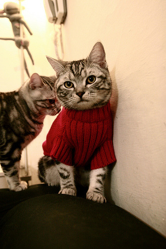 U20世界杯即将开打 青少年足球受关注,u20世界杯2019