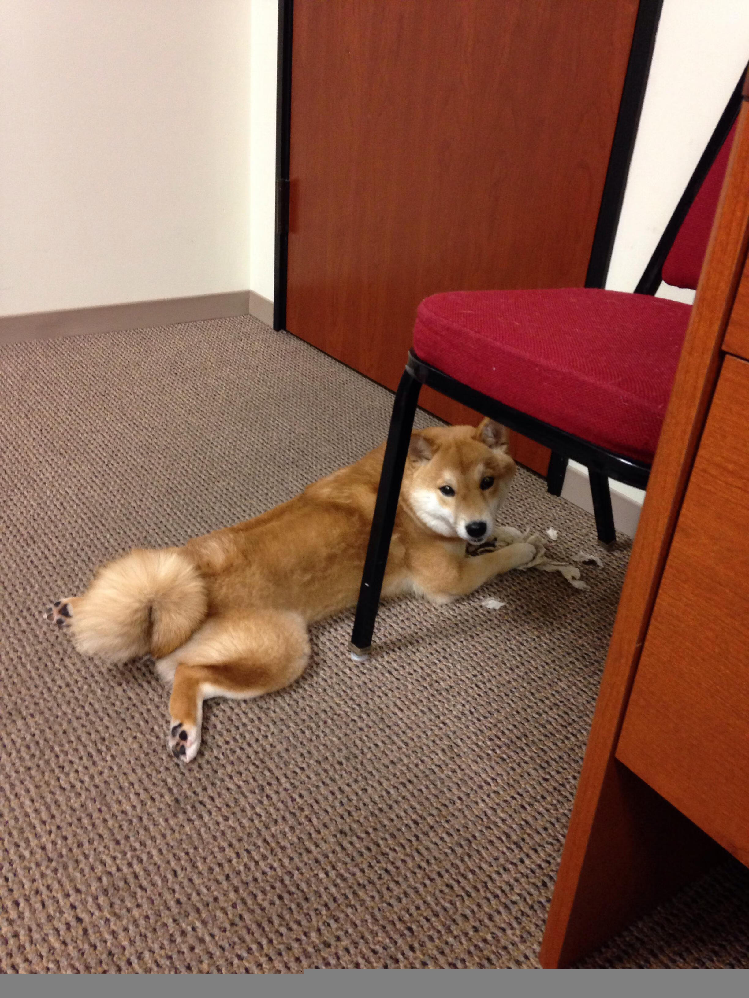 中国女篮保持竞技状态,中国女篮保持竞技状态的球员