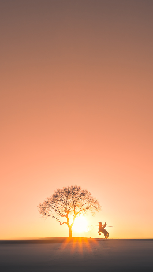 塞维利亚快速反击打出锋利进攻,塞维利亚阵型