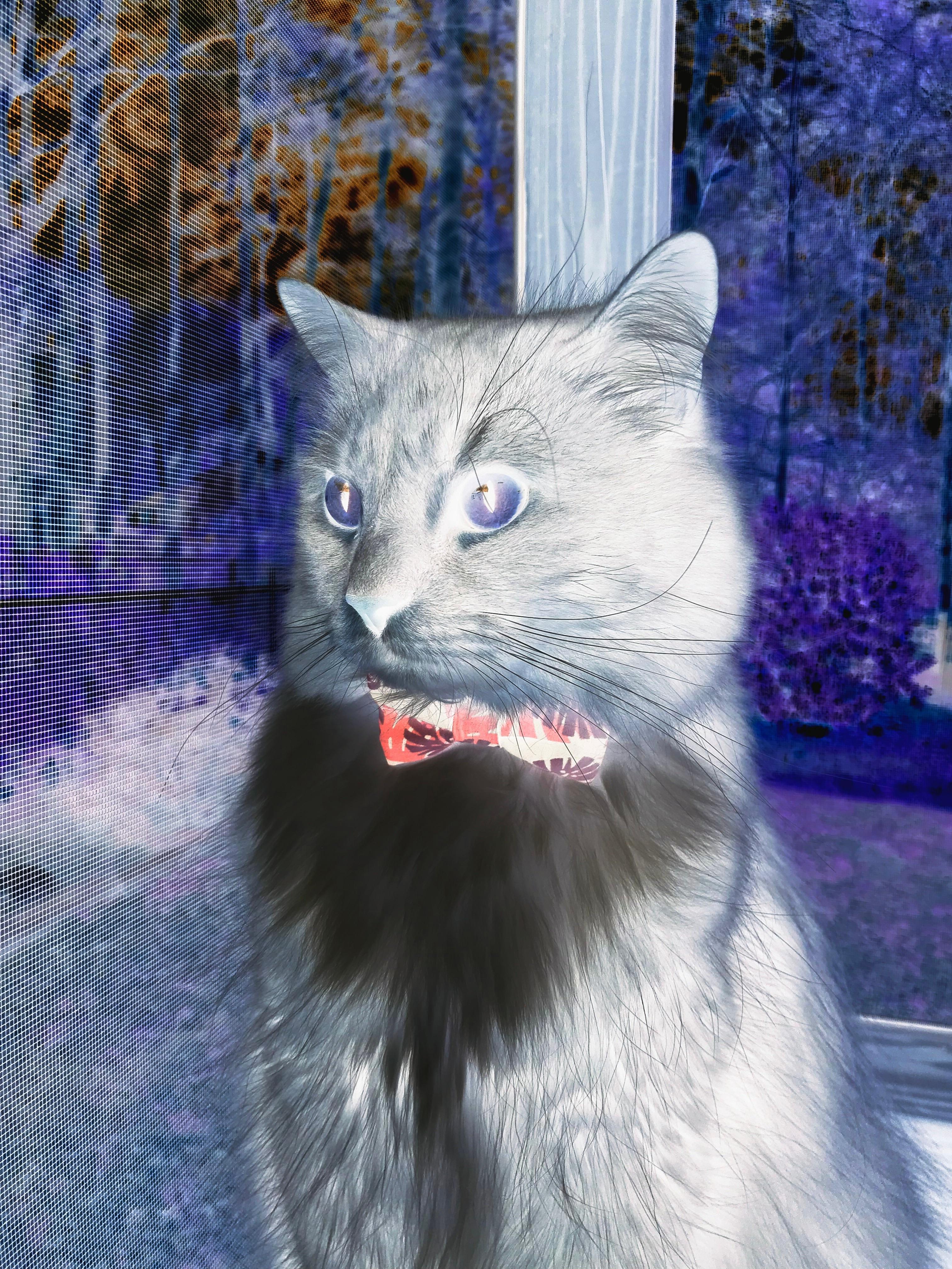 球队是否倾向于使用高位站位阻断对手前场组织,球队处于优势怎样安排战术