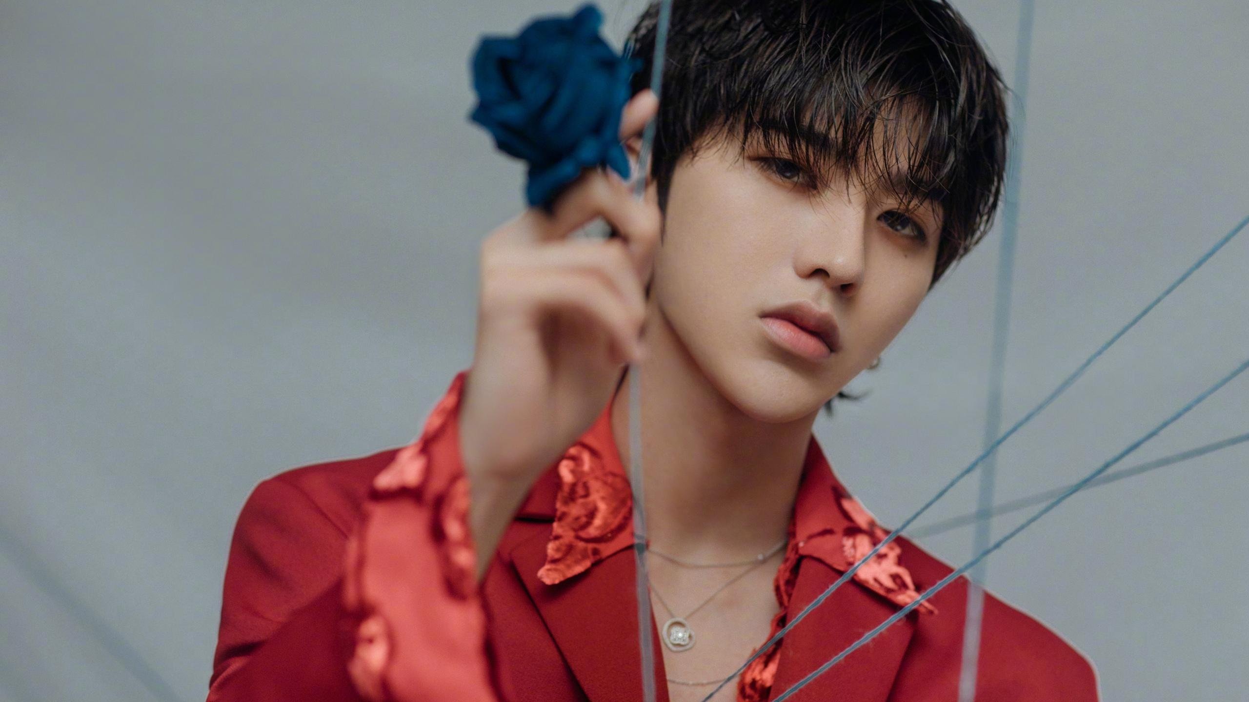 美国队在国际乒联混合团体世界杯中的表现与后期展望,美国乒乓球职业联赛