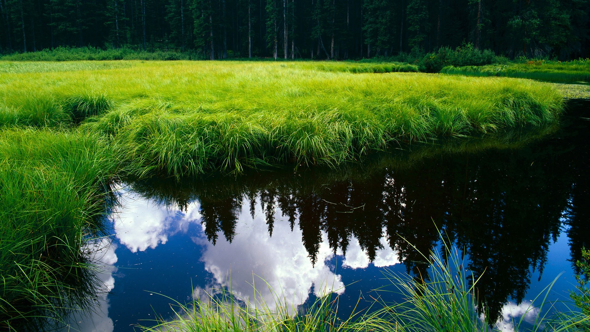 意甲团队合作:默契协作,赢得胜利!,意甲球队的关系及恩怨