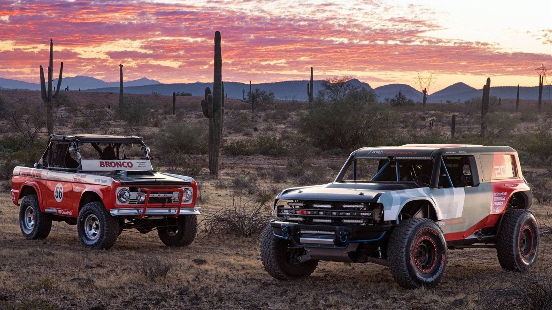 荷兰队在国际赛场势如破竹,士气高昂